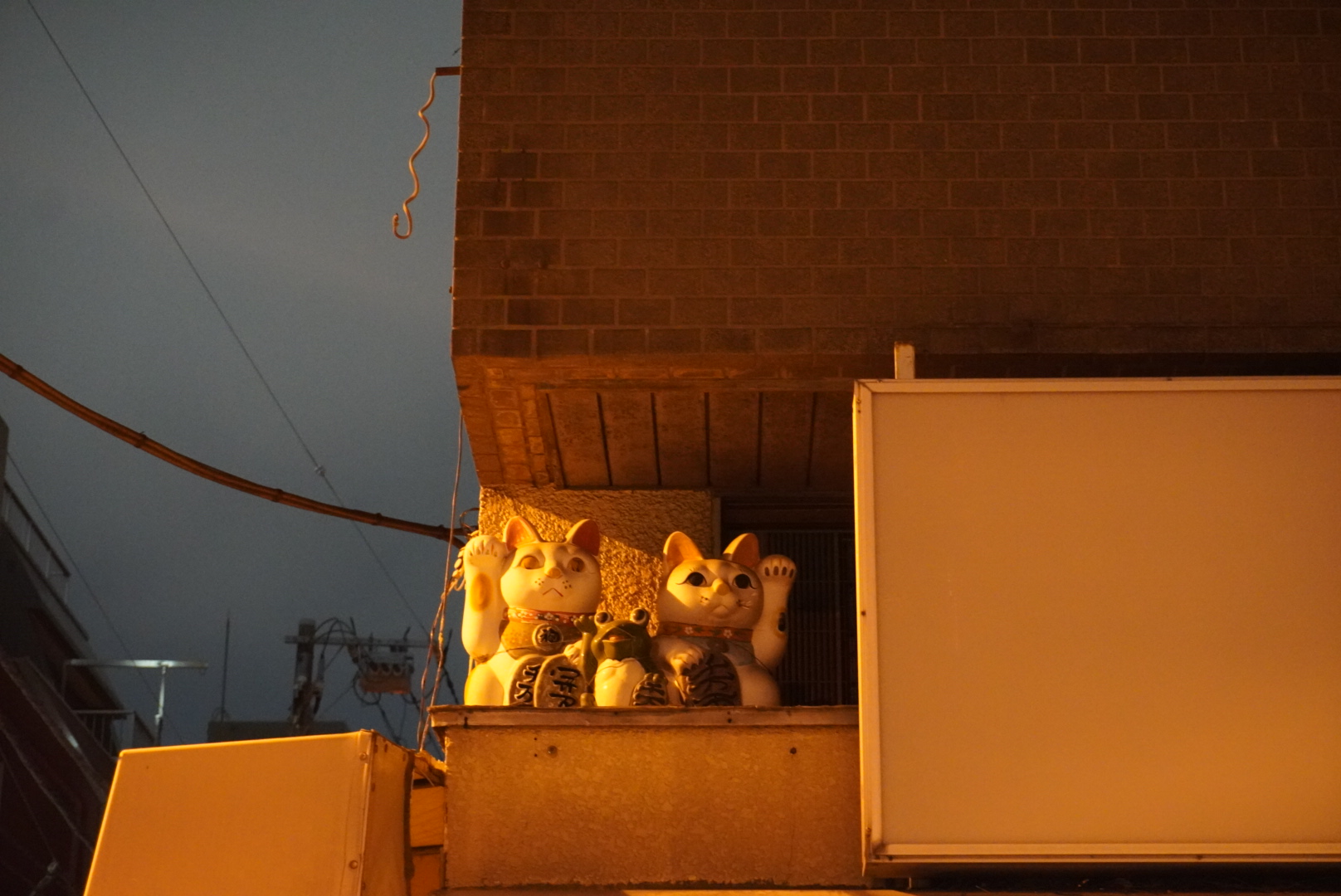 Beckoning cats out of focus on an apartment terrance from below at night.