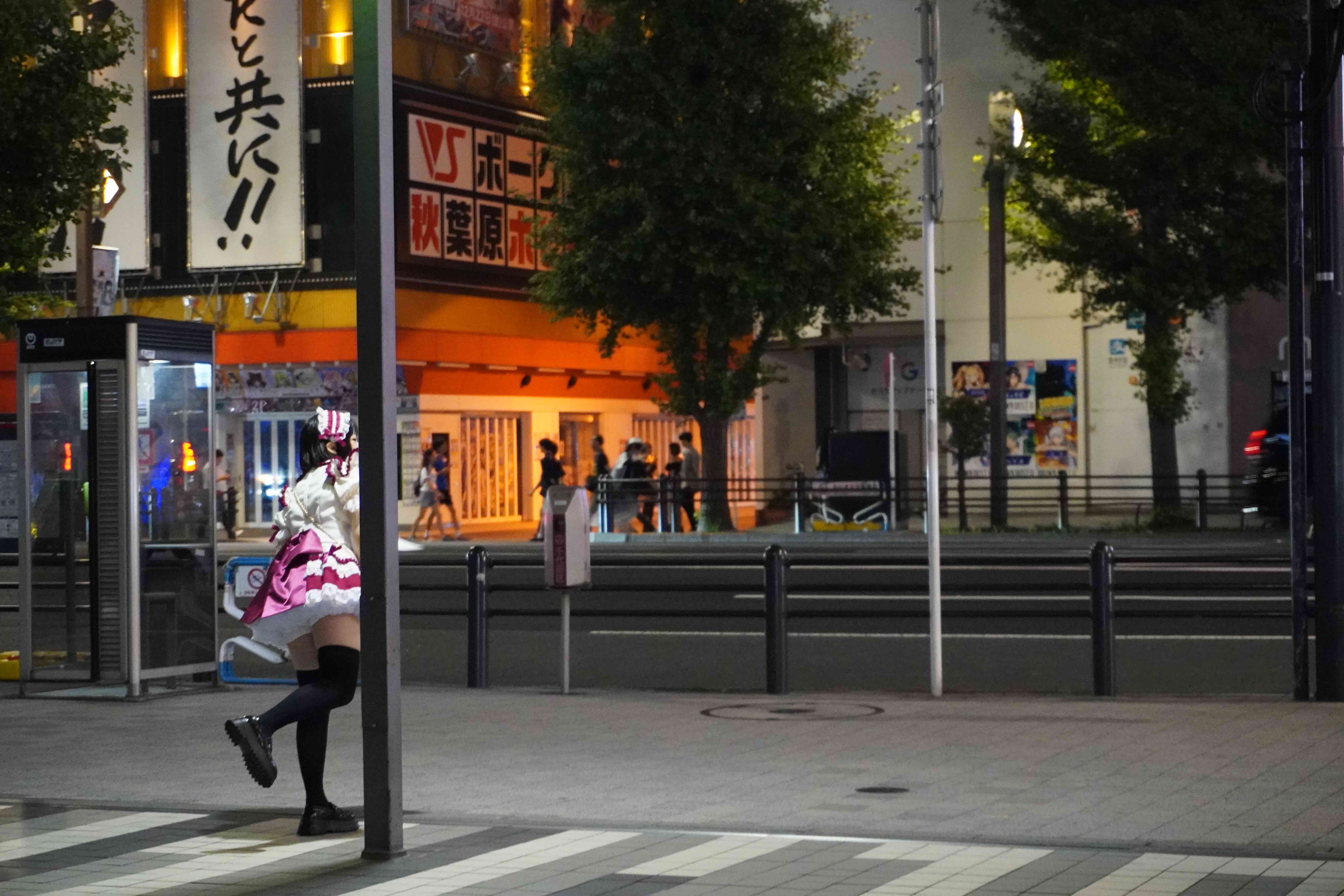 Maid in Akihabara.