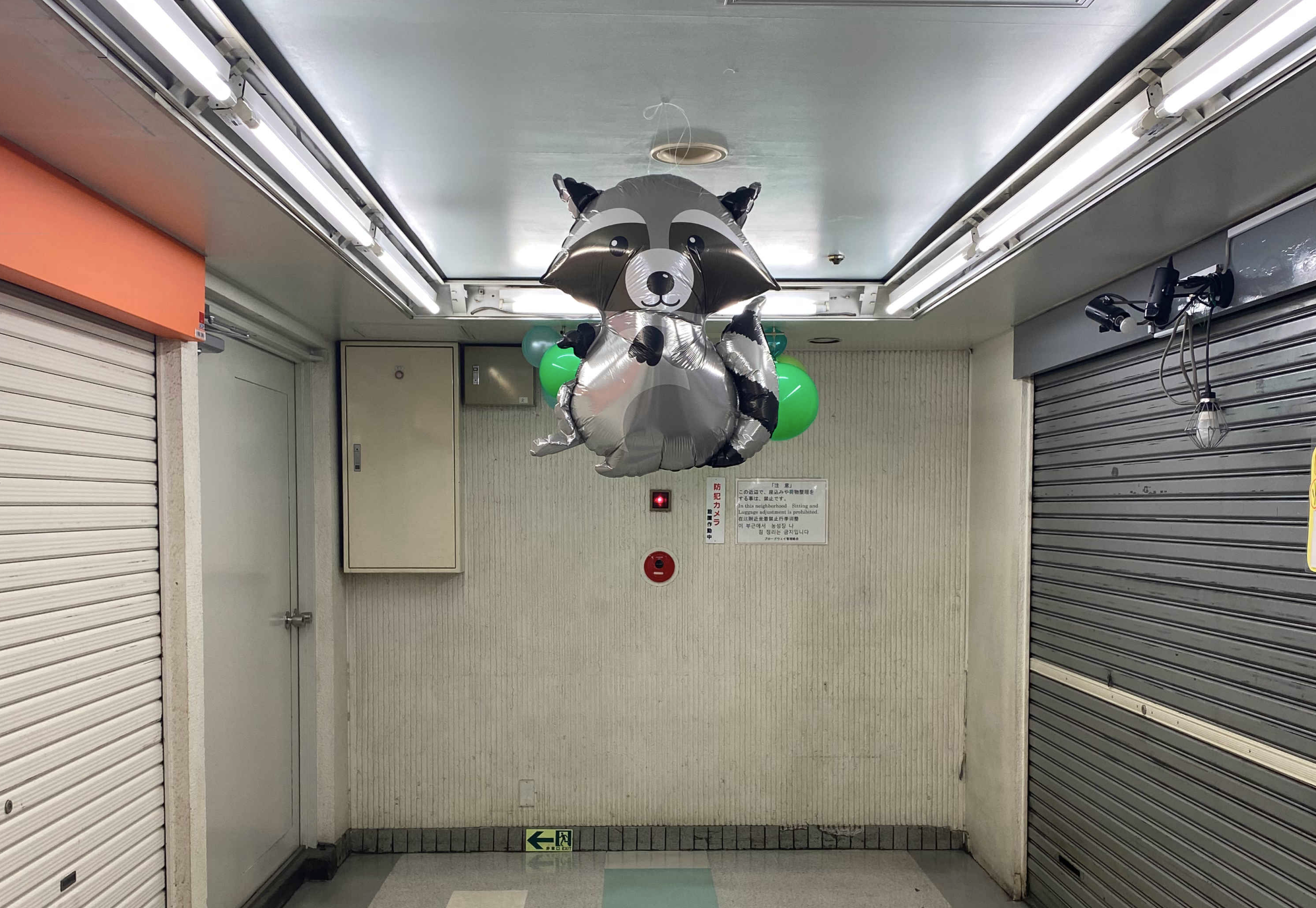 A raccoon balloon hanging or hovering at a dead end in a Nakano mall.