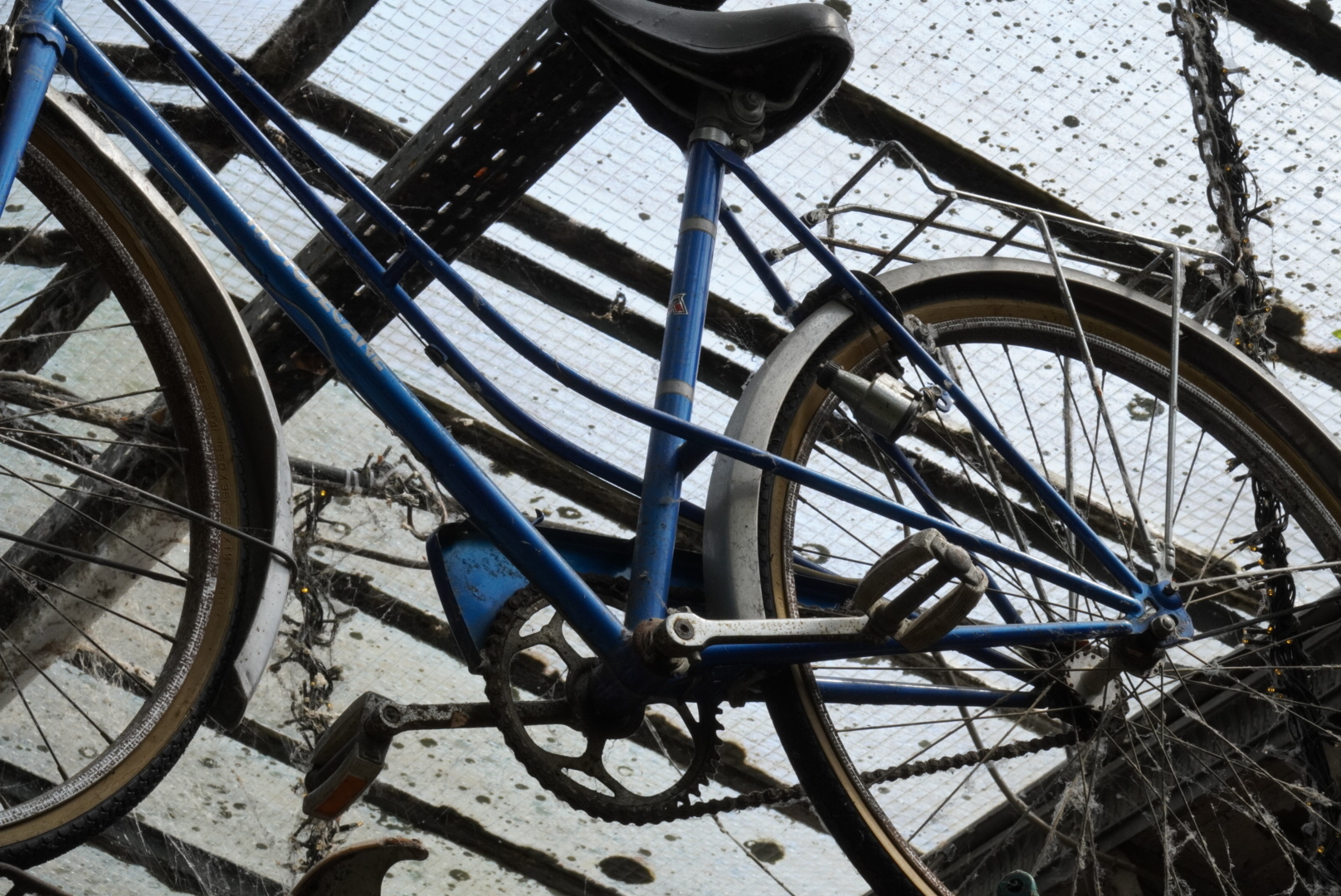 A vintage, blue bicycle hanging from a dirty, see-through cieling.